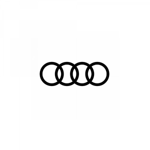 Audi A3 8P 2.0 FSI MED9.1.5